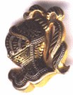 MHS Knight